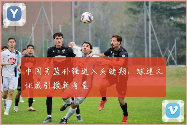 中国男篮补强进入关键期，球迷文化成引援新考量