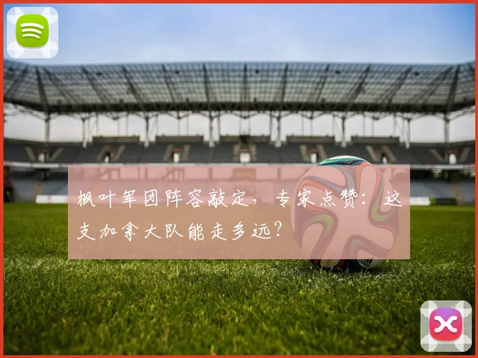 枫叶军团阵容敲定，专家点赞：这支加拿大队能走多远？