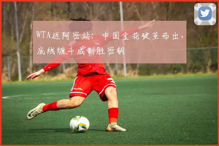 WTA迈阿密站：中国金花破茧而出，底线缠斗成制胜密钥
