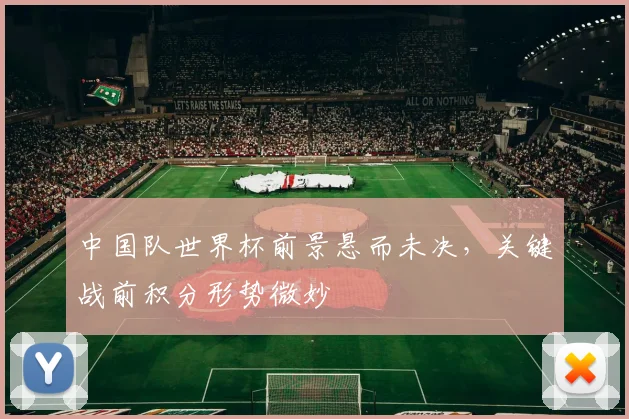 中国队世界杯前景悬而未决，关键战前积分形势微妙