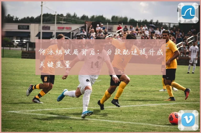 仰泳组破局背后：分段配速提升成关键变量